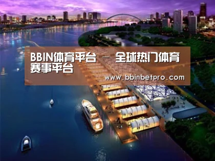 案例展示八