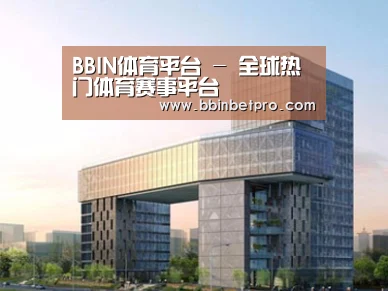 案例展示四