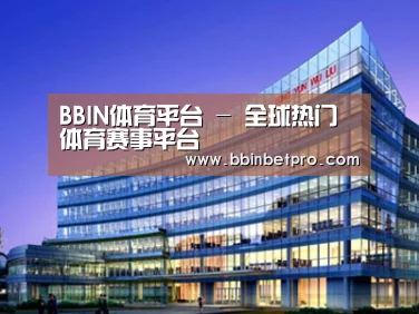 案例展示五