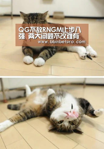 BBIN体育，BBIN百家乐，BBIN下载，BBIN真人