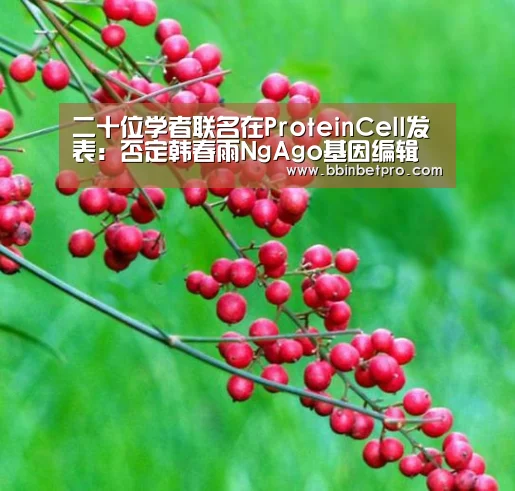 BBIN体育，BBIN百家乐，BBIN下载，BBIN真人