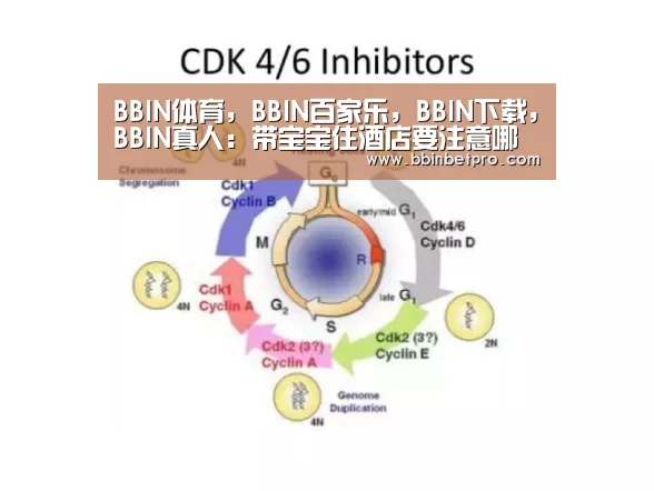 BBIN体育,BBIN百家乐,BBIN下载,BBIN真人:带宝宝住酒店要注意哪些问题(图2) BBIN体育,BBIN百家乐,BBIN下载,BBIN真人
