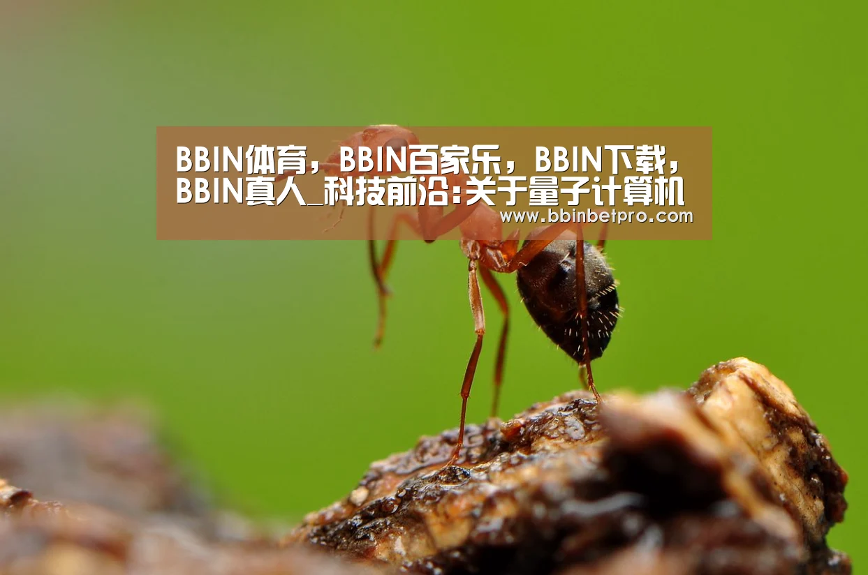 BBIN体育,BBIN百家乐,BBIN下载,BBIN真人_科技前沿:关于量子计算机的真相(图1) BBIN体育,BBIN百家乐,BBIN下载,BBIN真人